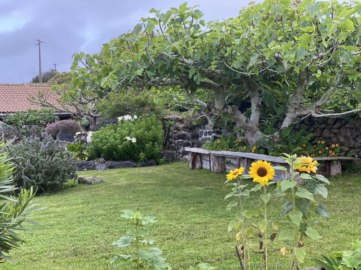 فيلا Quinta Perpetua, Casa Pico Alto do Sul المظهر الخارجي الصورة